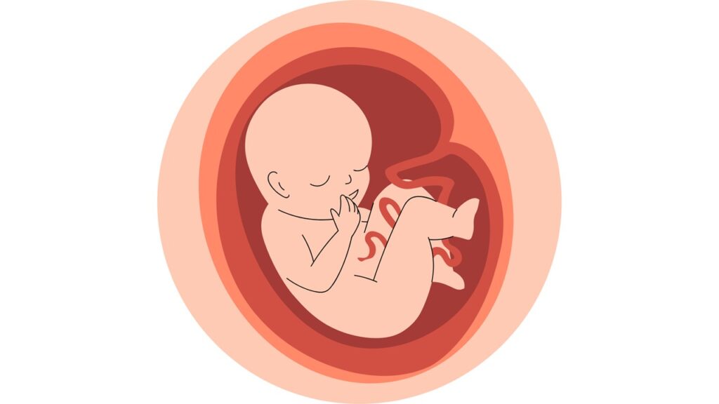 pregnancy EMF protection tips, router radiation safety distance