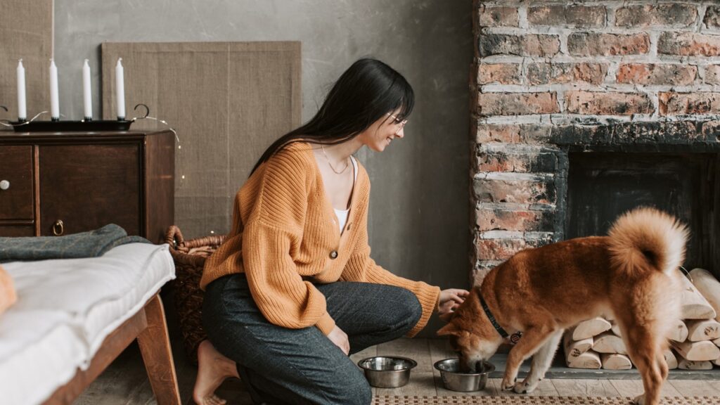 should pregnant women avoid pets due to allergies, managing pet allergies during pregnancy