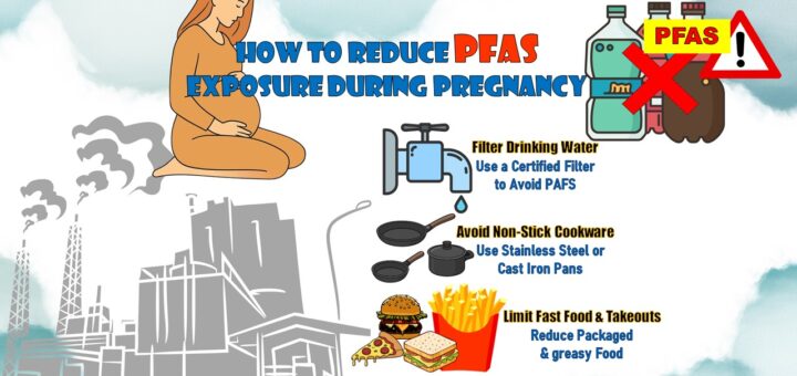 PFAS-free food storage containers