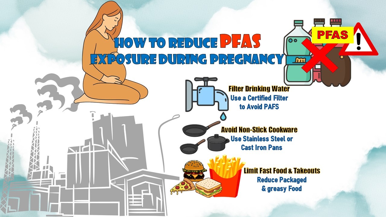 PFAS-free food storage containers