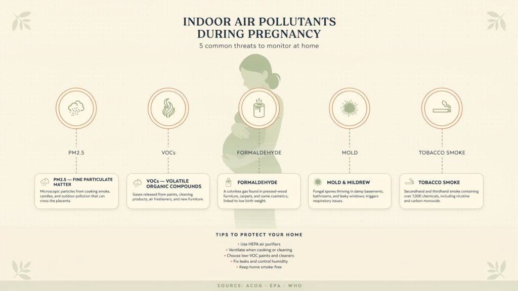 Infographic of common indoor air pollutants during pregnancy: PM2.5, VOCs, formaldehyde, mold, and tobacco smoke